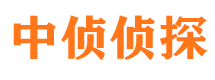 温泉市侦探